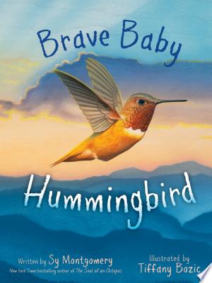 Brave Baby Hummingbird